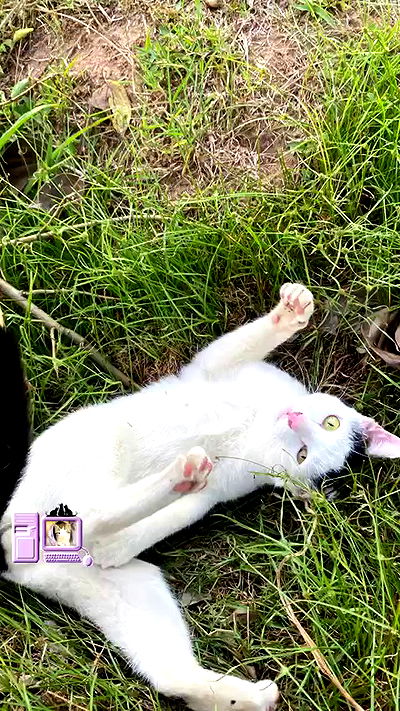 oqr0_ oqr0_ archive video