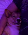 missbrisolo Altpins Profile Picture