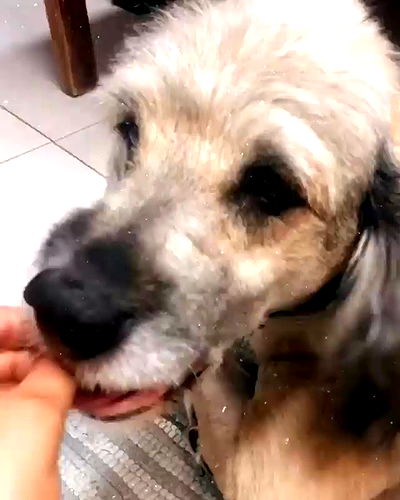 kesemgreenyer kesemgreenyer archive video