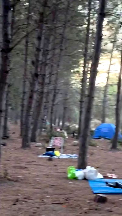 romy_ayalla_lavi romy_ayalla_lavi archive video