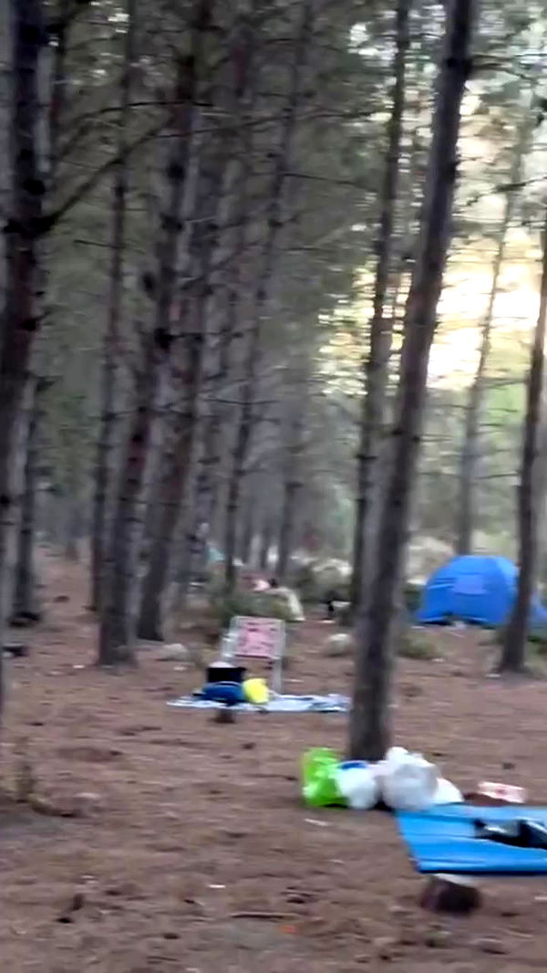 romy_ayalla_lavi archive video preview