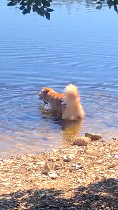 biton__adi biton__adi archive video