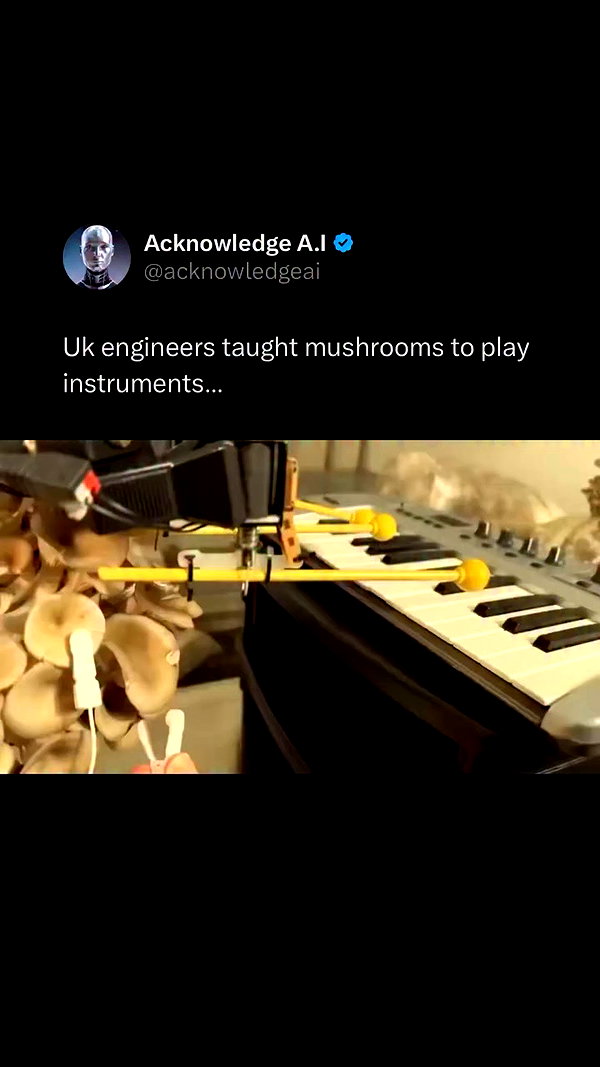 acknowledge.ai archive video preview
