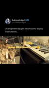 acknowledge.ai Altpins Profile Picture