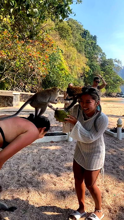 yam_adler yam_adler archive video