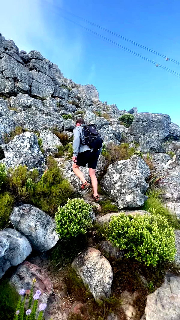 noa_mendel_ archive video preview