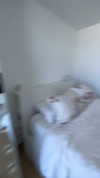 laurasaponara Altpins Profile Picture