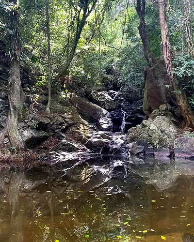 eusandyyh eusandyyh archive video