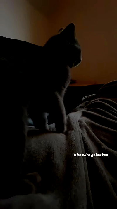 yoo.mon yoo.mon archive video