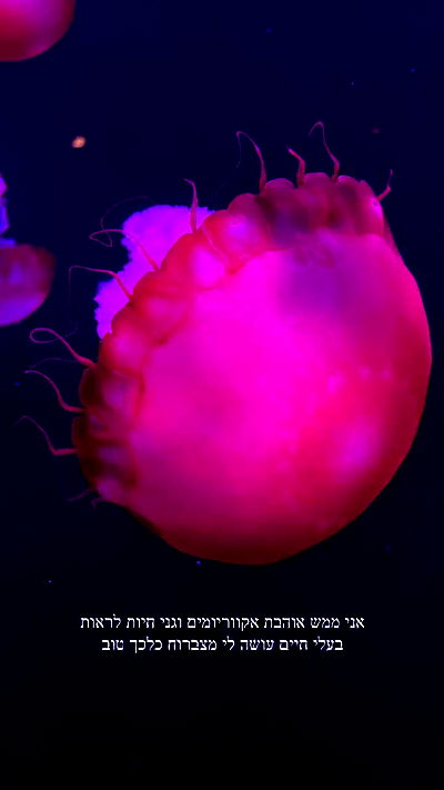 itsilanosh itsilanosh archive video