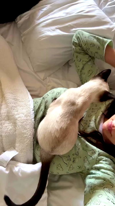 sophiemudd sophiemudd archive video