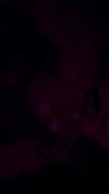 avitalll._ Altpins Profile Picture