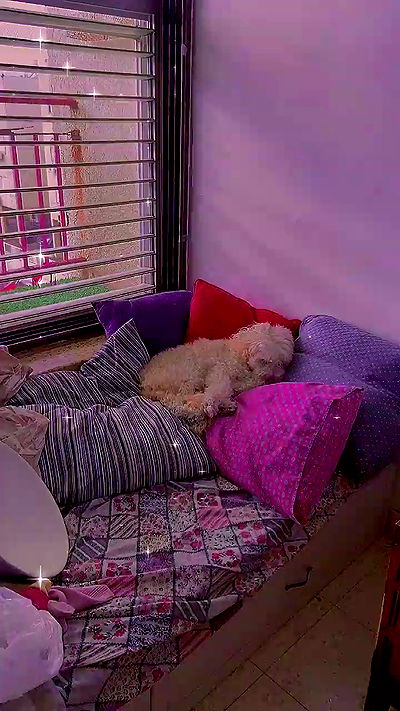 feelbetterinmysweater feelbetterinmysweater archive video