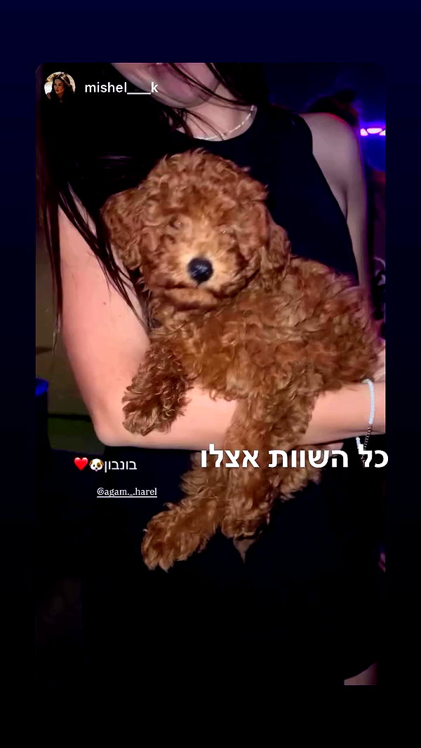 agam._.harel archive video preview