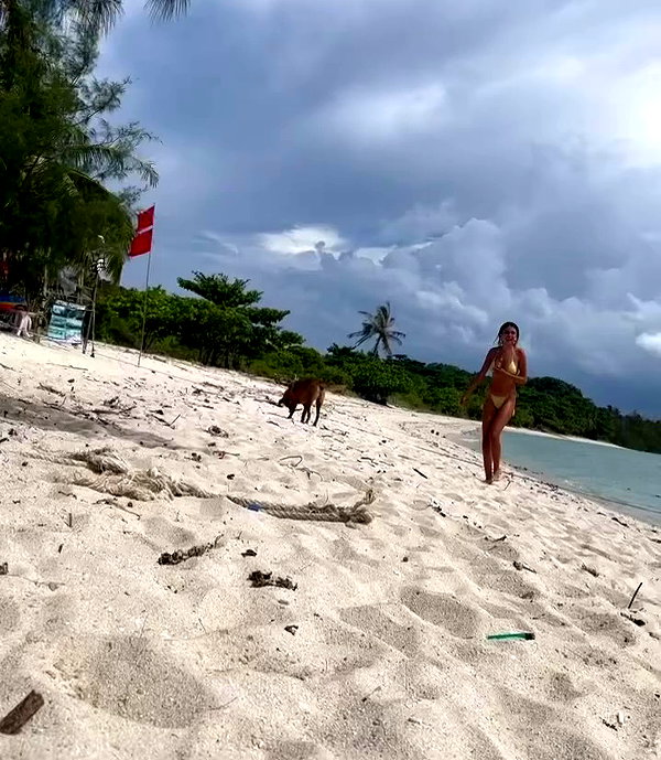 babyjoelle_ archive video preview