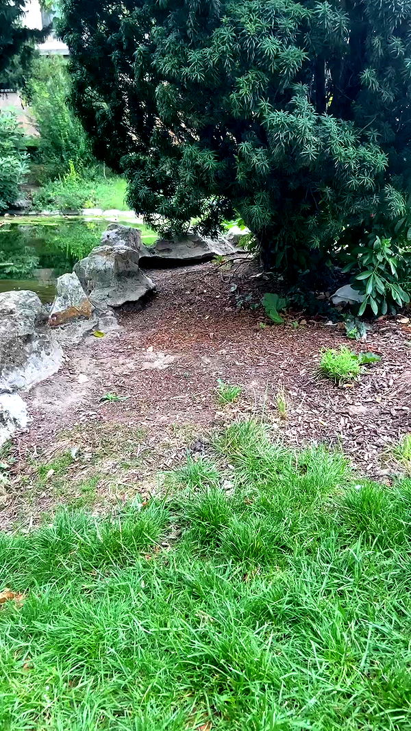 feelbetterinmysweater archive video preview