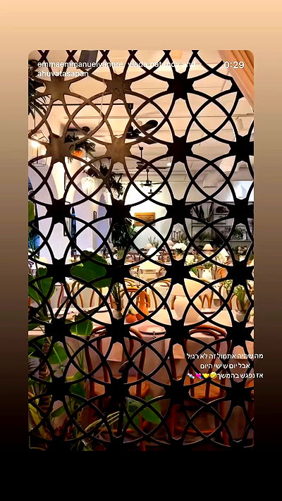 roni.benshushan roni.benshushan archive video