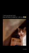 courtney2love Altpins Profile Picture