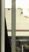 sxraya777 Altpins Profile Picture