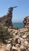 6a1it Altpins Profile Picture