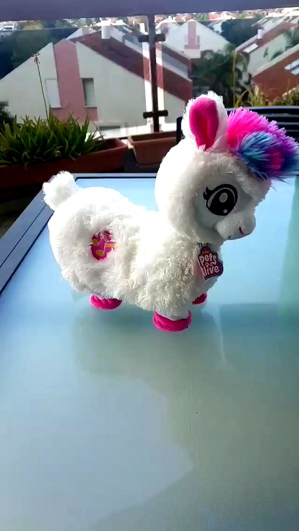 yam_adler archive video preview