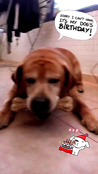 lissi77 lissi77 archive video