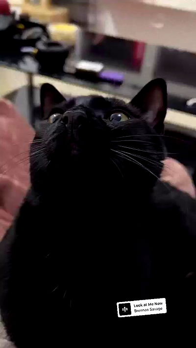 rebecka_tsadok rebecka_tsadok archive video