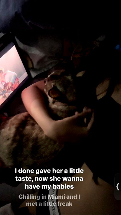 oqr0_ oqr0_ archive video