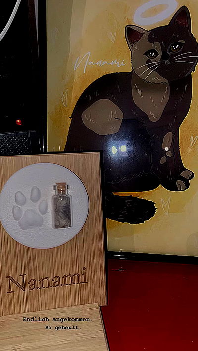 yoo.mon yoo.mon archive video