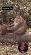 zz.eazoning Altpins Profile Picture