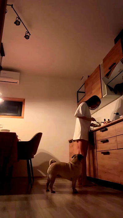 nyityam nyityam archive video