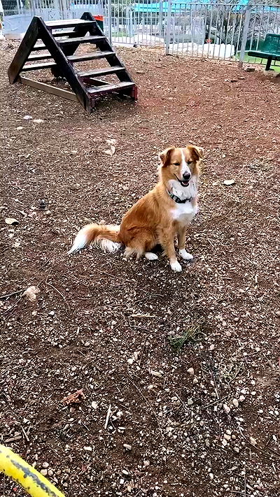 biton__adi biton__adi archive video