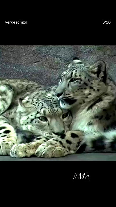 alexalizzz alexalizzz archive video