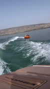 diana_polin Altpins Profile Picture