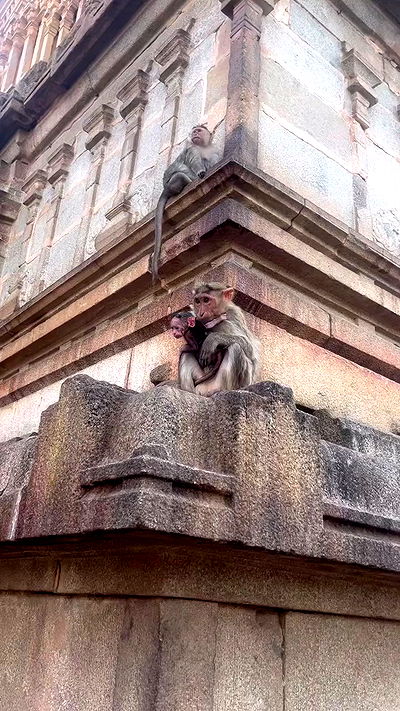 hanabellask8 hanabellask8 archive video