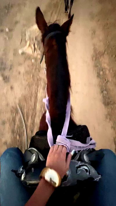 efrat_elmalich efrat_elmalich archive video