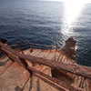 protheme Altpins Profile Picture