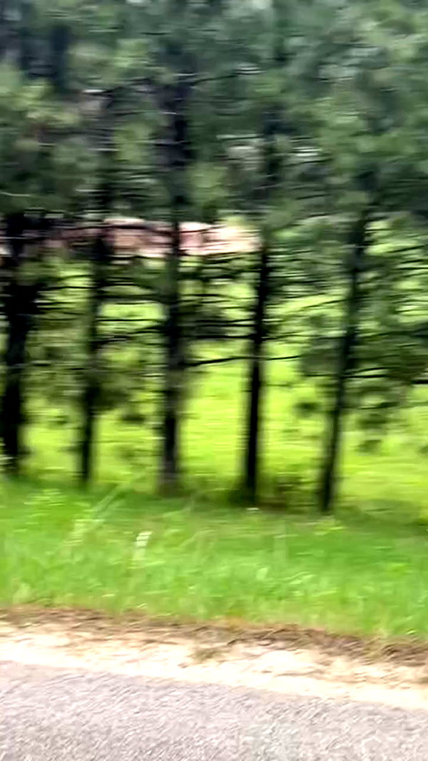 astarwbry_ archive video preview