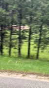 astarwbry_ Altpins Profile Picture