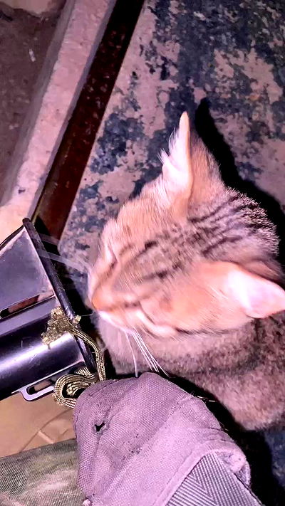 nikolgolovatzky nikolgolovatzky archive video