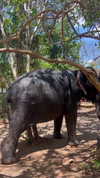tohar.harosh Altpins Profile Picture