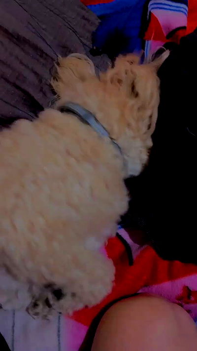 feelbetterinmysweater feelbetterinmysweater archive video