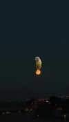 brennamooreeee Altpins Profile Picture