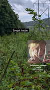 zz.eazoning Altpins Profile Picture
