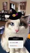 pixieonyxx Altpins Profile Picture