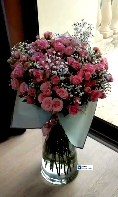 bakedsloths bakedsloths archive video