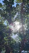 avitalll._ Altpins Profile Picture