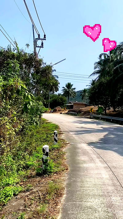 yam_adler yam_adler archive video