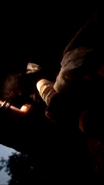 zommmbri zommmbri archive video