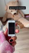 shunli_mei22 Altpins Profile Picture